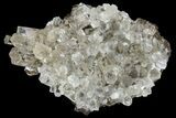 Transparent Columnar Calcite Crystal Cluster - China #163993-1